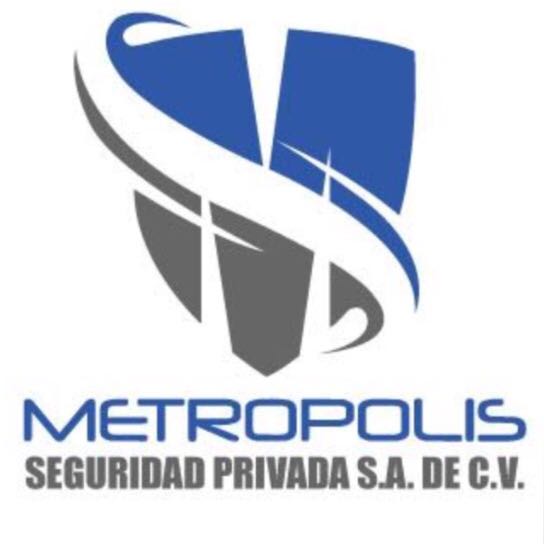 Metropolis Seguridad